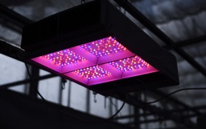Heliospectra Heliospectra